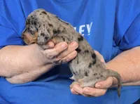 processed/0bade29b-87b4-41e7-beb6-f390b876096d/listing/d132c845-5ac0-4cd4-933f-e66cad0a812d/cbecb7e8-7e39-44e0-8027-1d0aef5cf547