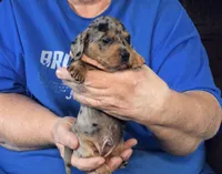 processed/0bade29b-87b4-41e7-beb6-f390b876096d/listing/d132c845-5ac0-4cd4-933f-e66cad0a812d/fcbe2543-a6ab-4722-bb4f-41162516d640