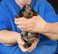 processed/0bade29b-87b4-41e7-beb6-f390b876096d/listing/de5ffb8d-c837-45f8-aa33-010089b95ea3/5acf0a7c-0939-48de-812e-fdbfc6b3859a