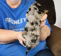 processed/0bade29b-87b4-41e7-beb6-f390b876096d/listing/de5ffb8d-c837-45f8-aa33-010089b95ea3/834a8fe0-bb8f-43ba-9f69-0be883e0b432