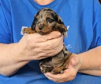 processed/0bade29b-87b4-41e7-beb6-f390b876096d/listing/de5ffb8d-c837-45f8-aa33-010089b95ea3/98562f6e-e9ee-44c5-aa1c-8f9ac0c88008