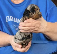 processed/0bade29b-87b4-41e7-beb6-f390b876096d/listing/de5ffb8d-c837-45f8-aa33-010089b95ea3/d13a6a25-b9eb-41b3-89f4-896880006793