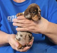 processed/0bade29b-87b4-41e7-beb6-f390b876096d/listing/fe6757f1-df1b-43fb-ae4f-dfbe24bf4692/5a84f2d6-624a-4bc2-893e-954302c5c0ee