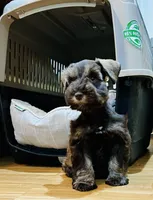 processed/0bb669d5-604e-4ee6-9ca3-9b84876b9211/facility/6ba3fb00-4026-40b9-8fc1-3c4e2df2cda9