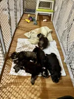 processed/0bb669d5-604e-4ee6-9ca3-9b84876b9211/facility/adcc521c-53a4-42c3-876a-dcbc14386475