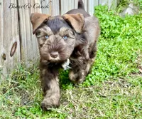 processed/0bb669d5-604e-4ee6-9ca3-9b84876b9211/facility/bf6201cd-1bf2-4a77-a704-ed044b97be75