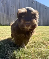 processed/0bb669d5-604e-4ee6-9ca3-9b84876b9211/listing/55ce5970-dd00-44c0-87f9-5962fb06c2ec/15d6f874-2701-4f4e-bc83-1874be9ebc40