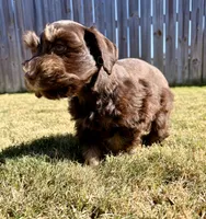 processed/0bb669d5-604e-4ee6-9ca3-9b84876b9211/listing/55ce5970-dd00-44c0-87f9-5962fb06c2ec/9987db6f-b168-45f6-bdb6-629569909e2d