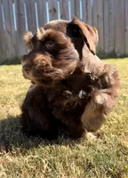 processed/0bb669d5-604e-4ee6-9ca3-9b84876b9211/listing/55ce5970-dd00-44c0-87f9-5962fb06c2ec/a7ab6a92-6a3b-49d0-9617-8e2b67d21655