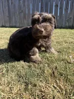 processed/0bb669d5-604e-4ee6-9ca3-9b84876b9211/listing/55ce5970-dd00-44c0-87f9-5962fb06c2ec/d7df804c-b6e4-47ef-b6ec-7ccb4ef66470