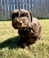 processed/0bb669d5-604e-4ee6-9ca3-9b84876b9211/listing/55ce5970-dd00-44c0-87f9-5962fb06c2ec/e1c4c124-84c0-453d-9363-c1fd8f7e4b60