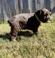 processed/0bb669d5-604e-4ee6-9ca3-9b84876b9211/listing/7bbfb6b6-577c-4141-880e-314b7c5885ec/132f3ad8-a40e-4a9b-959f-a672cb202e1e