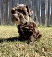 processed/0bb669d5-604e-4ee6-9ca3-9b84876b9211/listing/7bbfb6b6-577c-4141-880e-314b7c5885ec/297279ea-f946-4bfa-8c09-ca7844bc1e0c