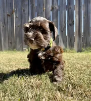 processed/0bb669d5-604e-4ee6-9ca3-9b84876b9211/listing/7bbfb6b6-577c-4141-880e-314b7c5885ec/3abef621-7c51-4deb-bd2d-47e457b853d7