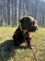 processed/0bb669d5-604e-4ee6-9ca3-9b84876b9211/listing/7bbfb6b6-577c-4141-880e-314b7c5885ec/78bc5d7b-17c8-4eee-9582-7203ce425925