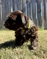 processed/0bb669d5-604e-4ee6-9ca3-9b84876b9211/listing/7bbfb6b6-577c-4141-880e-314b7c5885ec/a9bfd9af-7a5a-4683-b4ce-9f484d3af606