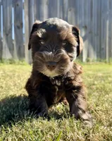 processed/0bb669d5-604e-4ee6-9ca3-9b84876b9211/listing/7bbfb6b6-577c-4141-880e-314b7c5885ec/d8e6e5b4-3ce0-4e03-acfc-cd91301325aa