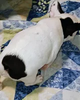 processed/0bcc0f21-f4be-46dd-aeaf-ef18ab5d4130/listing/61a1905b-5a9c-4711-8c35-7e254f066eff/6a105fe4-7b1d-4204-8974-0560d7bd8808