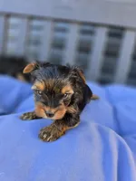 processed/0bd07479-66eb-4df6-9f70-947850093ded/listing/9252f4a6-7a37-44ea-9210-8870f44b57d1/24d91b7e-9760-402e-ac41-58cf207421c9