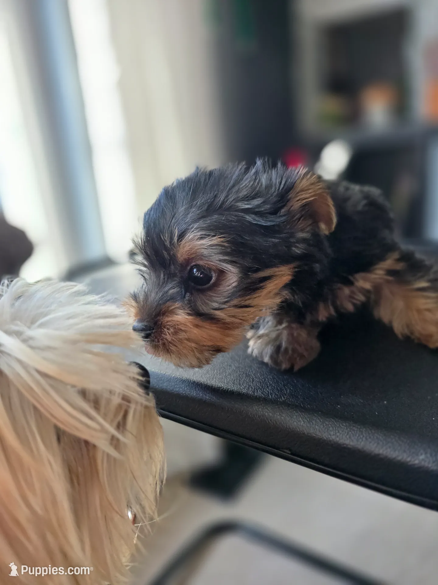 processed/0bd07479-66eb-4df6-9f70-947850093ded/listing/9252f4a6-7a37-44ea-9210-8870f44b57d1/45c8a473-fa7f-4e01-a528-400eb14b6abe