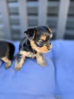 processed/0bd07479-66eb-4df6-9f70-947850093ded/listing/9252f4a6-7a37-44ea-9210-8870f44b57d1/46da4051-c6b0-473f-a54c-555add560639