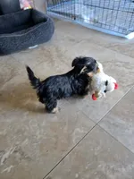 processed/0bd07479-66eb-4df6-9f70-947850093ded/listing/9252f4a6-7a37-44ea-9210-8870f44b57d1/51f1aab4-cc66-41d3-bd09-9baf7615e205