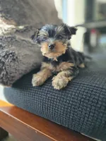 processed/0bd07479-66eb-4df6-9f70-947850093ded/listing/9252f4a6-7a37-44ea-9210-8870f44b57d1/c7f798f4-1af1-4ad2-a00c-1ecd67398cba