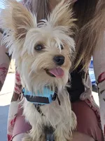 processed/0bd07479-66eb-4df6-9f70-947850093ded/listing/e2c0a794-7d87-4a24-8235-44498b97aaad/029316e5-93f1-47d4-a6a4-bbd6c15b6fbc