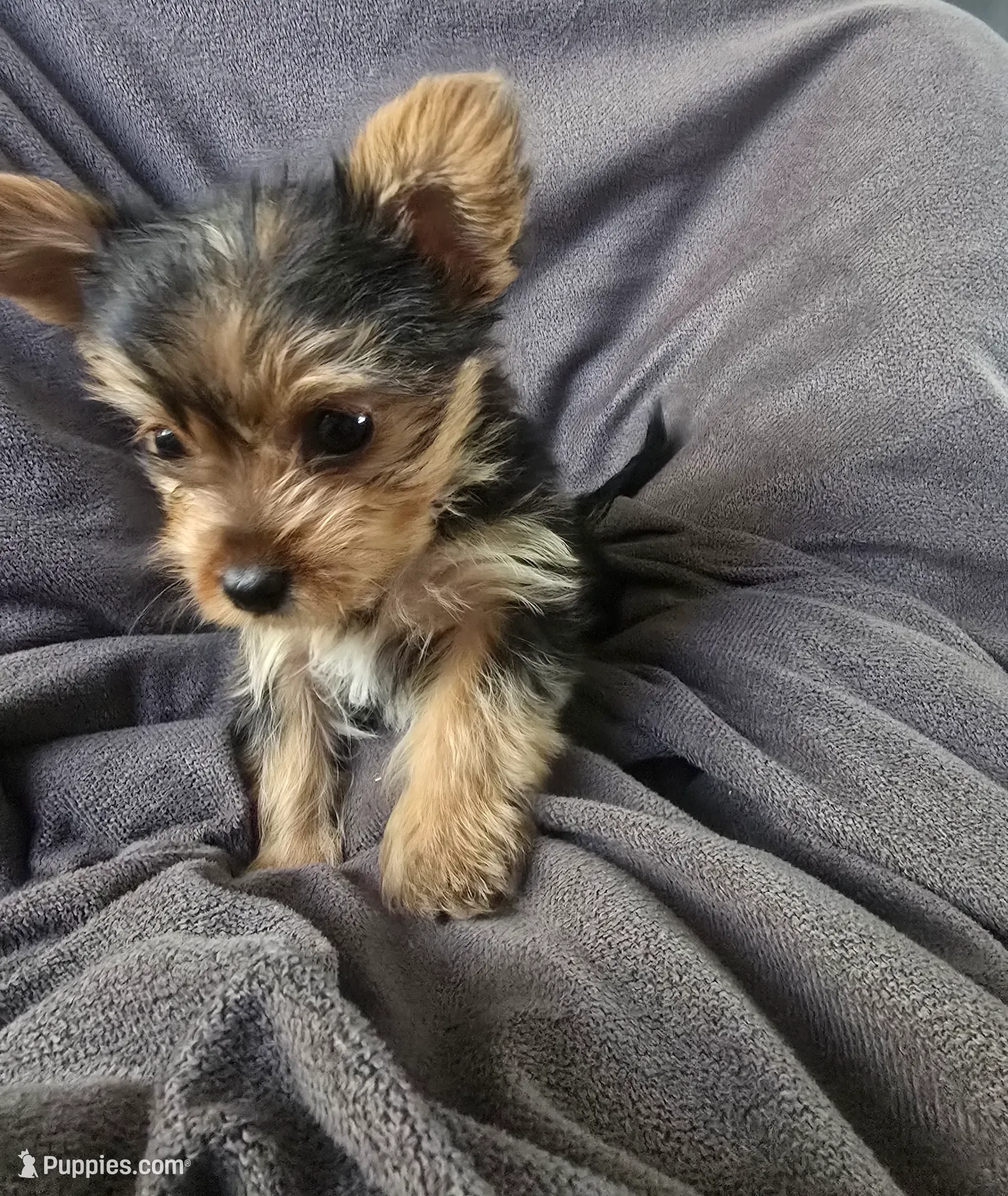 processed/0bd07479-66eb-4df6-9f70-947850093ded/listing/e2c0a794-7d87-4a24-8235-44498b97aaad/3c14d6f9-35f2-486f-9905-fdcb5c755944