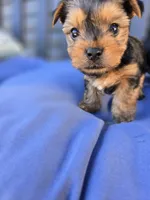 processed/0bd07479-66eb-4df6-9f70-947850093ded/listing/e2c0a794-7d87-4a24-8235-44498b97aaad/443a1c9e-a927-407a-a91a-a498c6916fa2