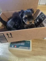 processed/0bd07479-66eb-4df6-9f70-947850093ded/listing/e2c0a794-7d87-4a24-8235-44498b97aaad/54b5d172-13aa-461d-b6cb-945abfef7983