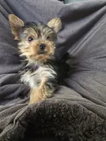 processed/0bd07479-66eb-4df6-9f70-947850093ded/listing/e2c0a794-7d87-4a24-8235-44498b97aaad/bf04a85d-575d-4b2f-9965-eda3e0bbe83a