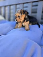 processed/0bd07479-66eb-4df6-9f70-947850093ded/listing/e2c0a794-7d87-4a24-8235-44498b97aaad/e8699445-c87f-4ca6-b783-54c517442162