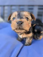 processed/0bd07479-66eb-4df6-9f70-947850093ded/listing/e2c0a794-7d87-4a24-8235-44498b97aaad/f4743b26-35a7-4d80-a57f-b254f52c86ea