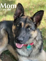 processed/0bd1c0b9-bf9e-4042-b62e-364f22496063/listing/4fa77879-245c-4b56-b824-effb35f1219b/260a0eb0-307e-4fb0-b222-b0bda21ea0ee