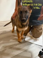 processed/0bd1c0b9-bf9e-4042-b62e-364f22496063/listing/4fa77879-245c-4b56-b824-effb35f1219b/758ceb18-095b-42c1-82ca-f498122bbef9