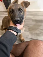 processed/0bd1c0b9-bf9e-4042-b62e-364f22496063/listing/4fa77879-245c-4b56-b824-effb35f1219b/cd1ef82d-e30d-466a-8317-cc247a0e2464