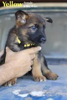 processed/0bd1c0b9-bf9e-4042-b62e-364f22496063/listing/4fa77879-245c-4b56-b824-effb35f1219b/f230733d-e6db-4ab6-84ae-1485c53a5511