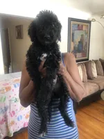 processed/0bd7eaec-7edd-44f7-88ed-2590094c86d9/listing/4cf8fcc6-d0eb-40d8-8e7a-5ece9176913a/f66597ad-98d4-41a9-b00a-b8dcf7417d02