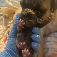 processed/0bd8c243-a71a-4b53-8aa0-d11dc4cdab3a/facility/1b73f178-1468-4904-b71c-5f81eac9fb48