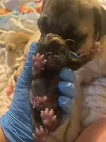 processed/0bd8c243-a71a-4b53-8aa0-d11dc4cdab3a/facility/1b73f178-1468-4904-b71c-5f81eac9fb48