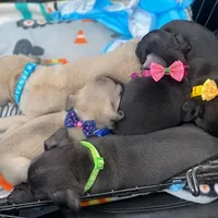 processed/0bd8c243-a71a-4b53-8aa0-d11dc4cdab3a/facility/1d5d6535-a96c-4e13-8e17-00c5db82f805