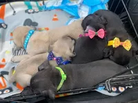 processed/0bd8c243-a71a-4b53-8aa0-d11dc4cdab3a/facility/1d5d6535-a96c-4e13-8e17-00c5db82f805