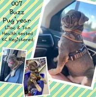 processed/0bd8c243-a71a-4b53-8aa0-d11dc4cdab3a/facility/90fd1268-ded7-4694-9b46-2f3be943bbea