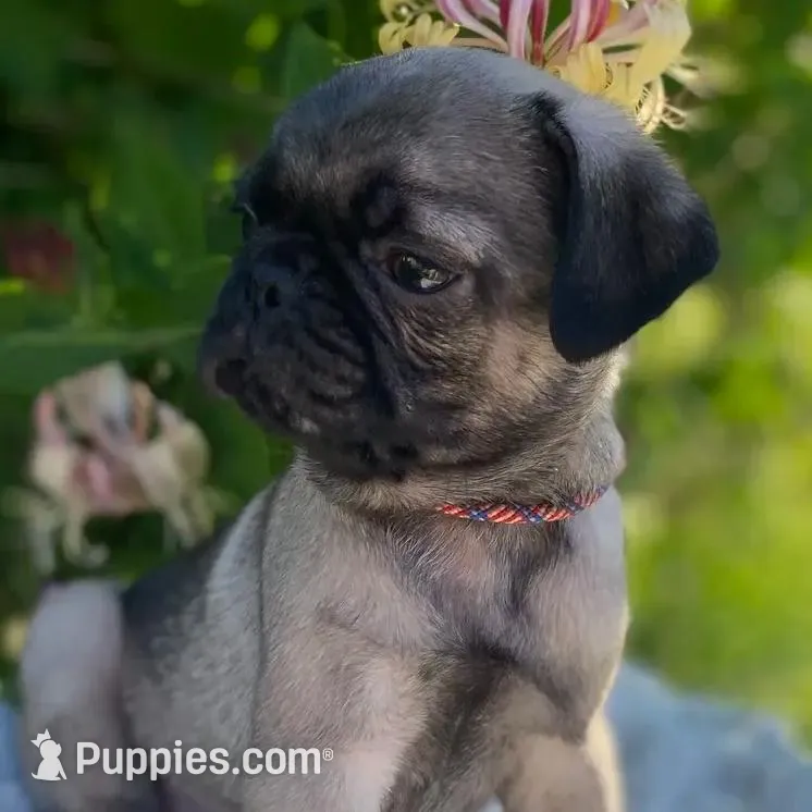 processed/0bd8c243-a71a-4b53-8aa0-d11dc4cdab3a/facility/c59afab6-dc1a-4088-9526-603855a38ac8