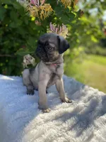 processed/0bd8c243-a71a-4b53-8aa0-d11dc4cdab3a/facility/c59afab6-dc1a-4088-9526-603855a38ac8