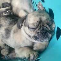 processed/0bd8c243-a71a-4b53-8aa0-d11dc4cdab3a/facility/c8d22fd2-b89c-4e94-b315-fc9b90f60afe