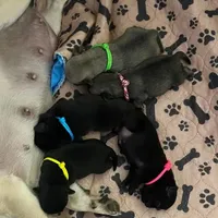 processed/0bd8c243-a71a-4b53-8aa0-d11dc4cdab3a/facility/c8f18dd4-c20e-4acc-82a8-c41d4ba0018b