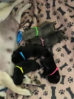 processed/0bd8c243-a71a-4b53-8aa0-d11dc4cdab3a/facility/c8f18dd4-c20e-4acc-82a8-c41d4ba0018b