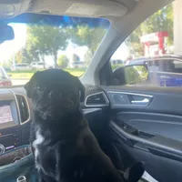 processed/0bd8c243-a71a-4b53-8aa0-d11dc4cdab3a/facility/c8fc0f08-e50e-4381-b9e1-946270bddf11